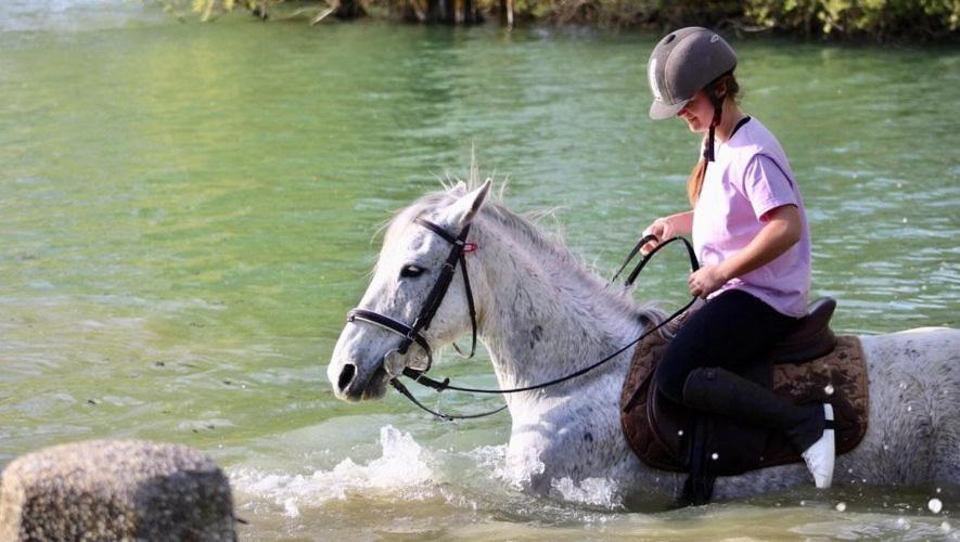 River Paradise Goyave المظهر الخارجي الصورة