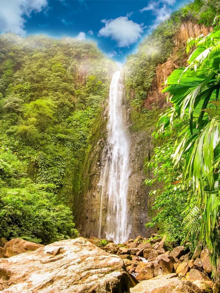 River Paradise Goyave المظهر الخارجي الصورة