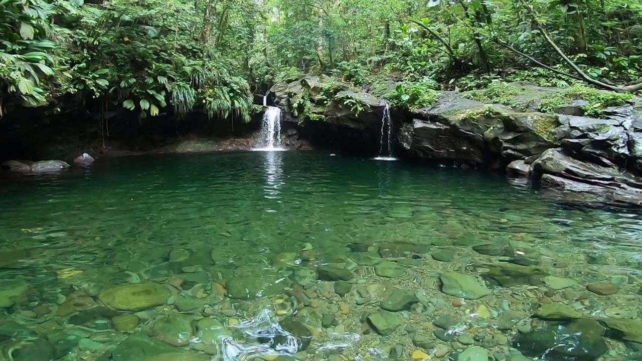 River Paradise Goyave المظهر الخارجي الصورة
