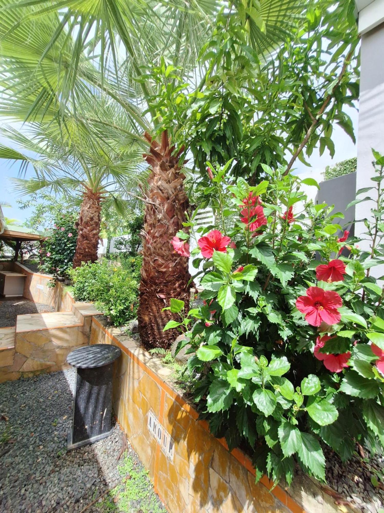 River Paradise Goyave المظهر الخارجي الصورة